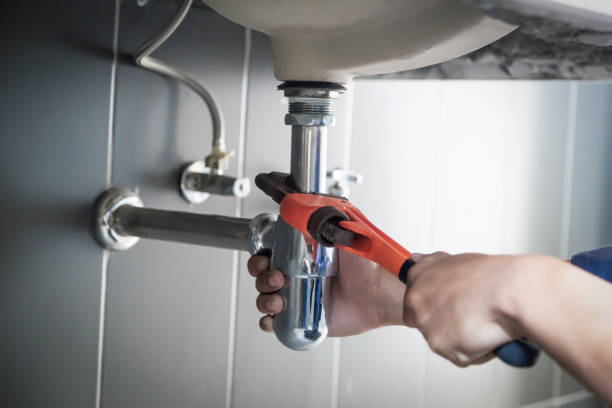 Best Plumbing Repair Near Me  in Cheswold, DE